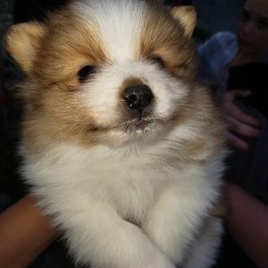 Meet your Posher, Bethany